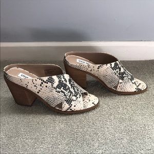 Steve Madden Mules